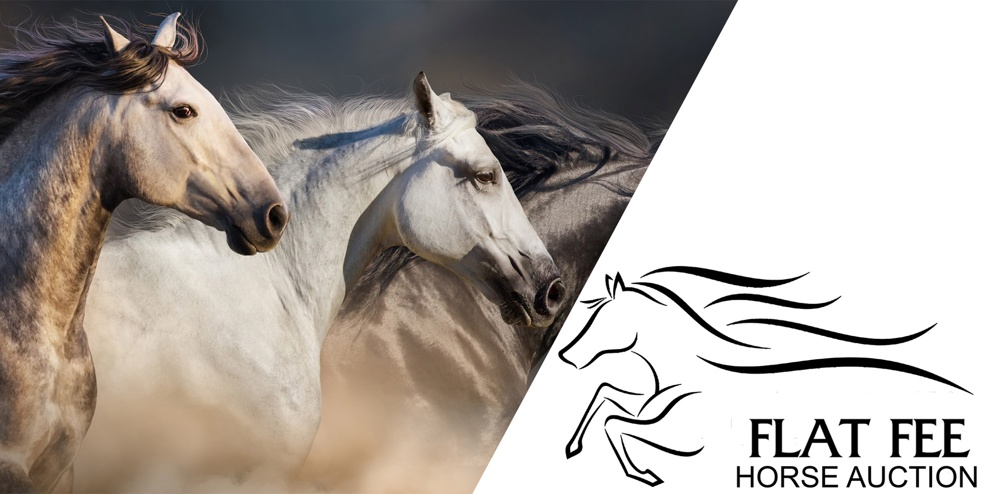 Click for Flat Fee Horse Auction