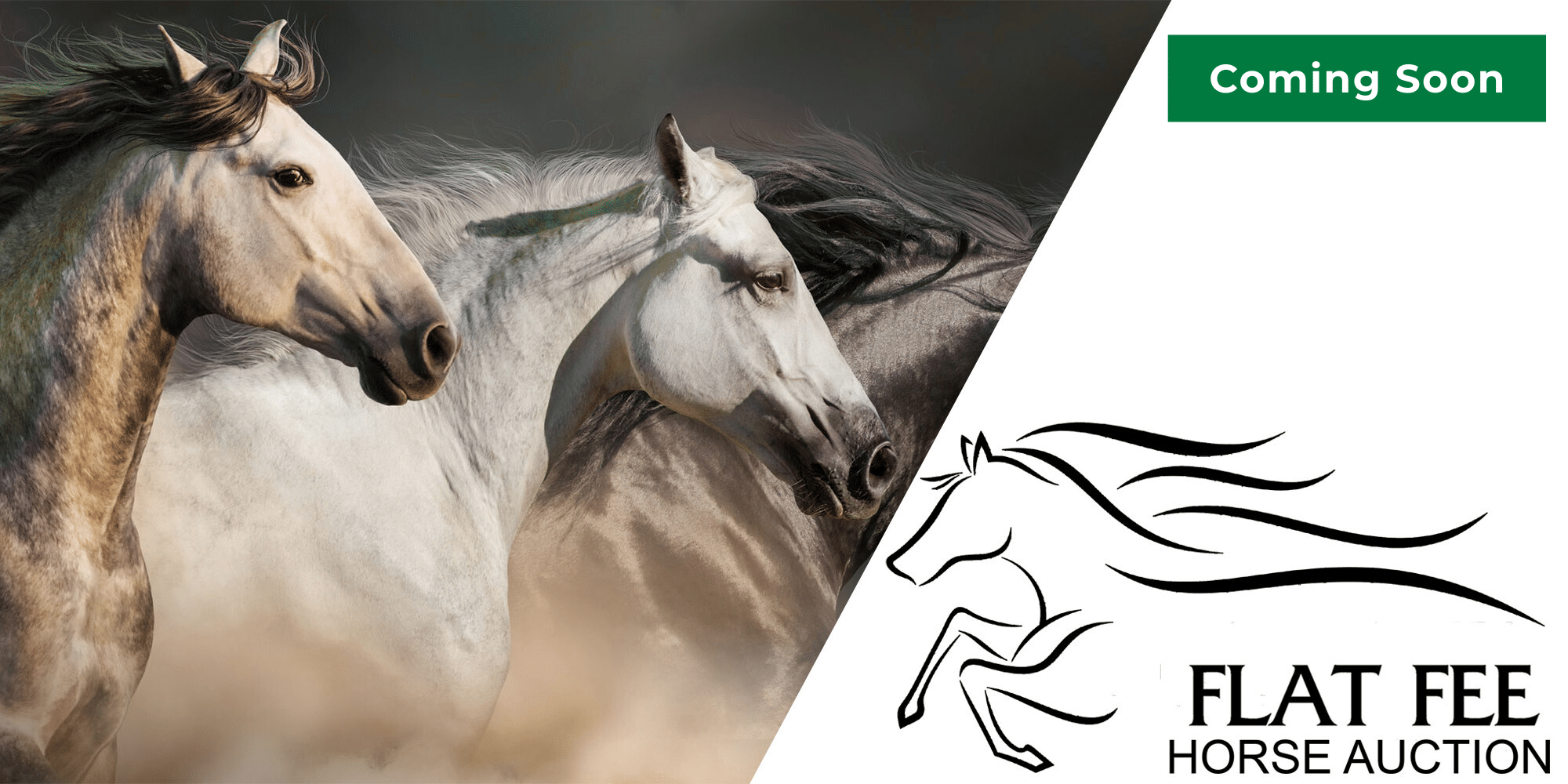 Click for Flat Fee Horse Auction